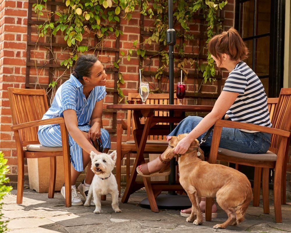 Montagu Arms Dogs 1000 wide