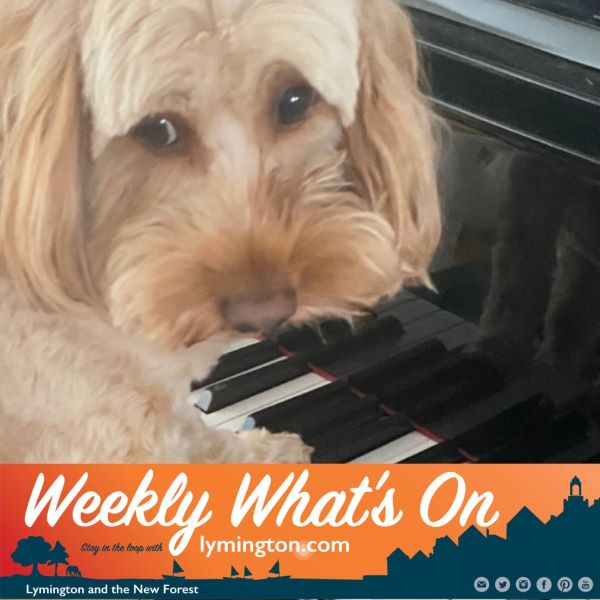 Solent Music Festival