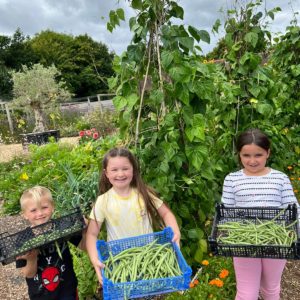 patricks patch - children carrying vegetables