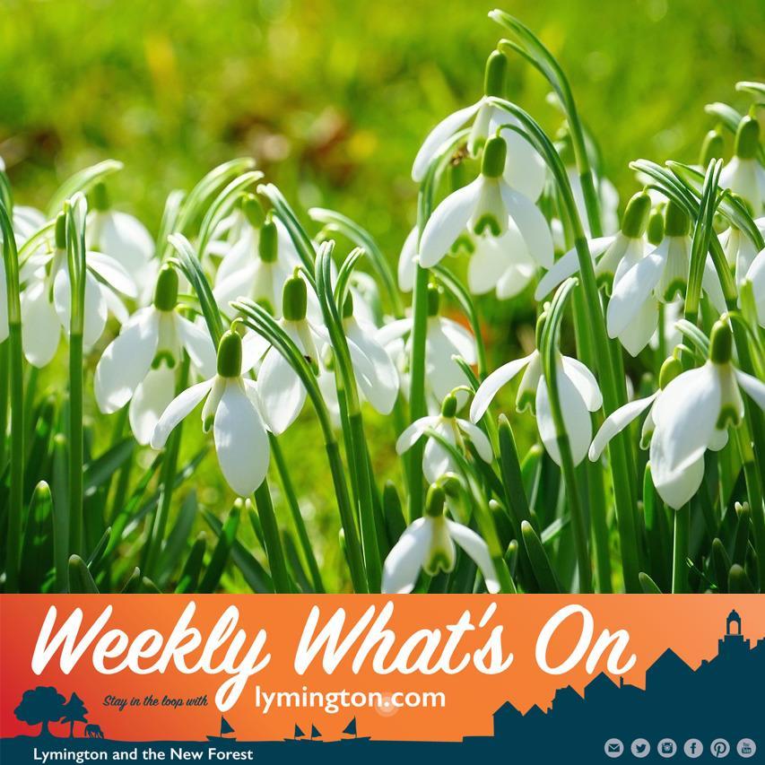 What's on in the New Forest this weekend?