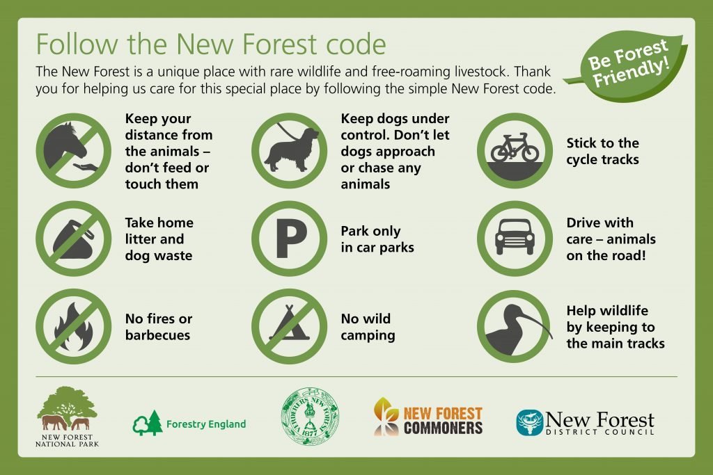 New Forest code logos