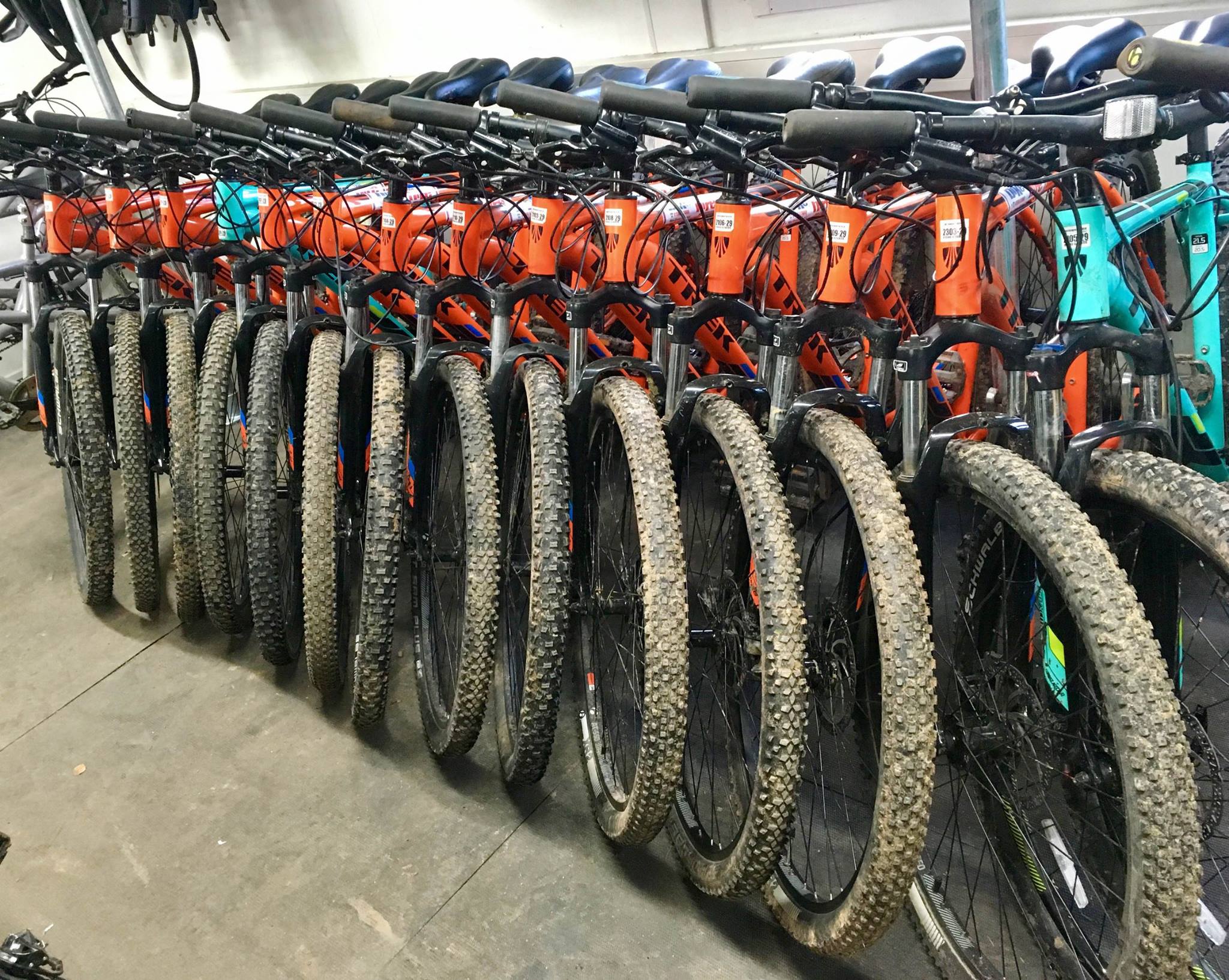 cyclexperience bike hire bikes