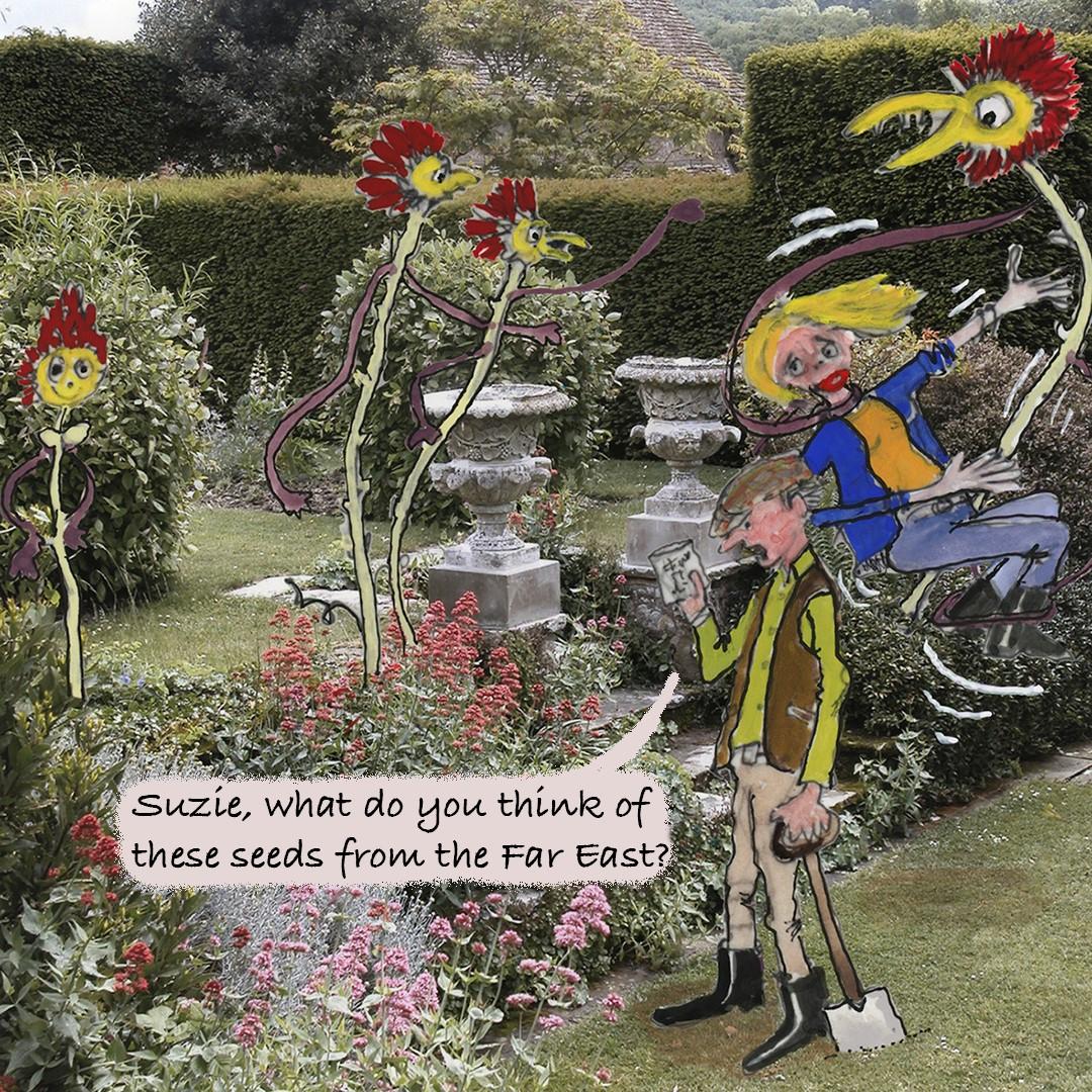 Seed characters in garden cartoon