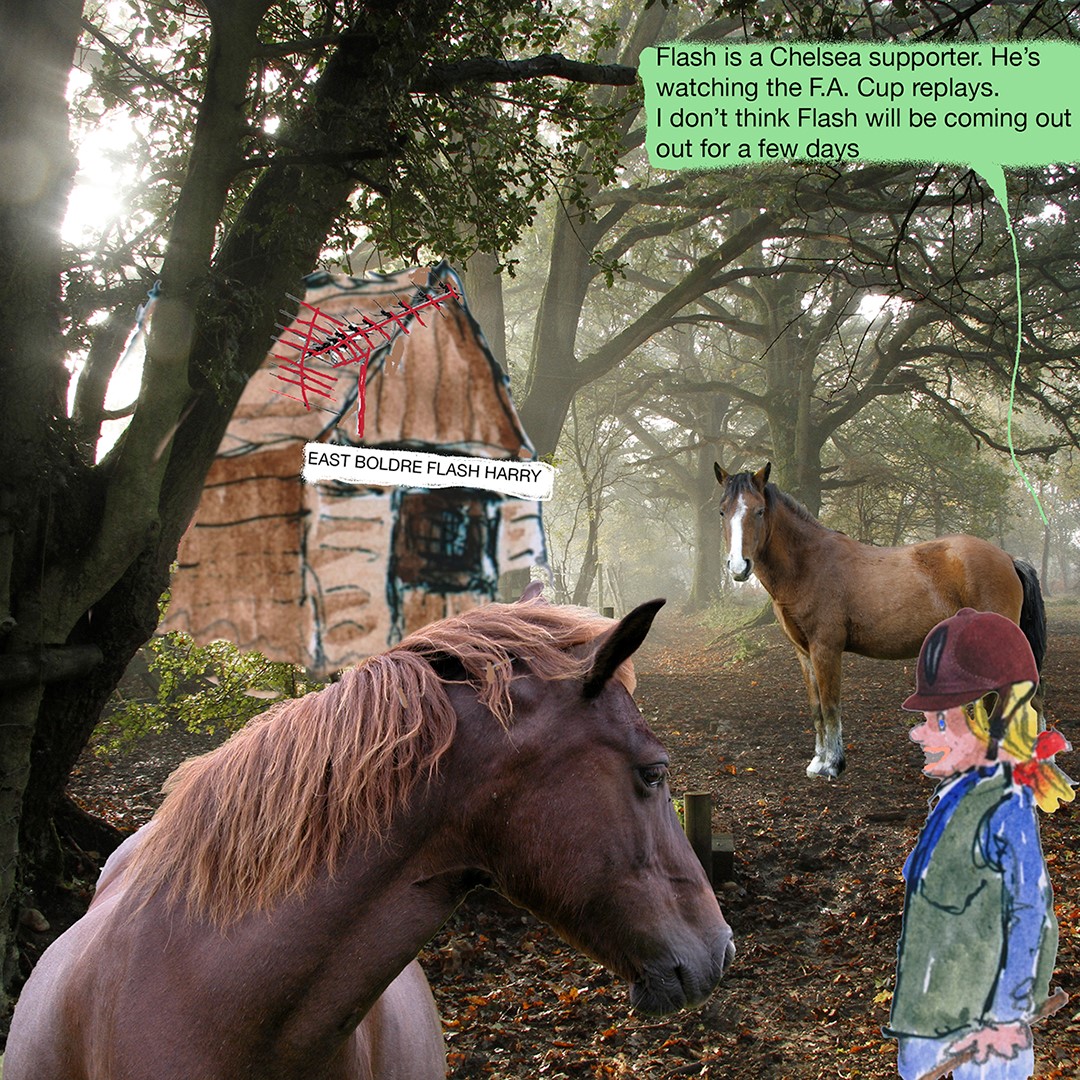 ponies in forest cartoon