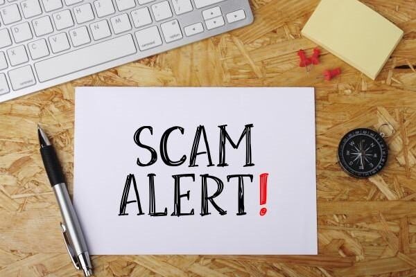 Protecting vulnerable New Forest adults from scams