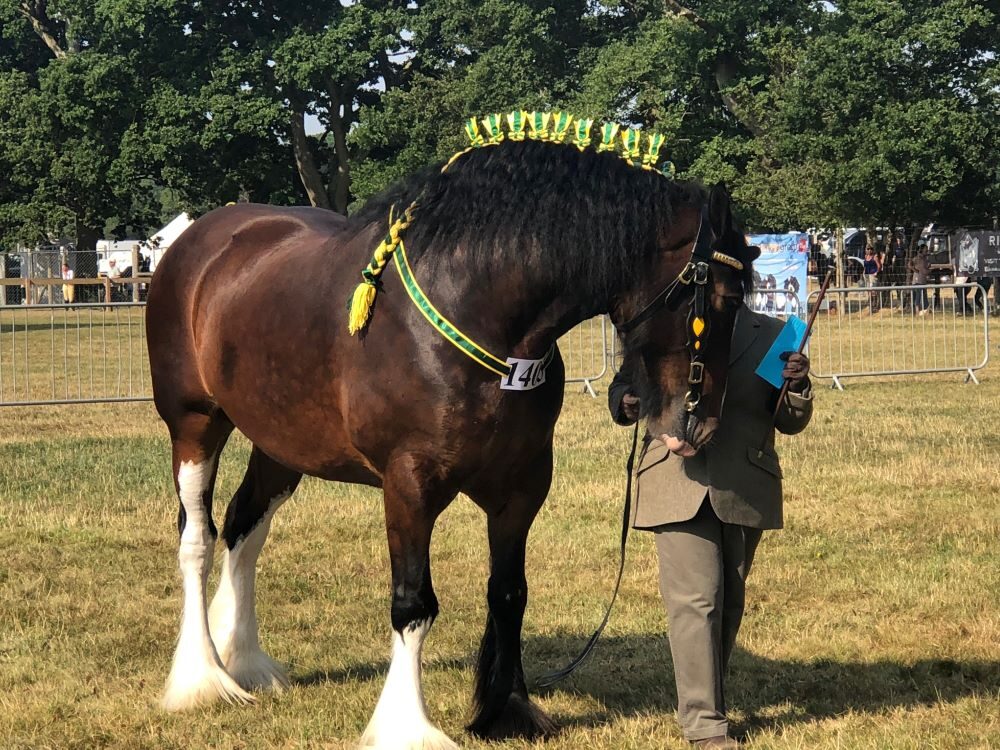 new forest show 2018 02