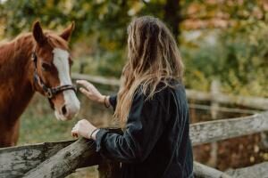 Stables