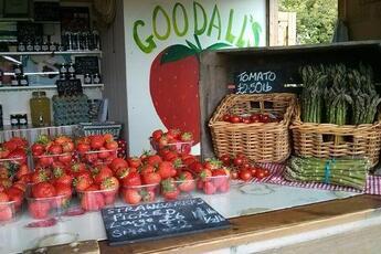 Goodall's Strawberry Farm and Pick Your Own