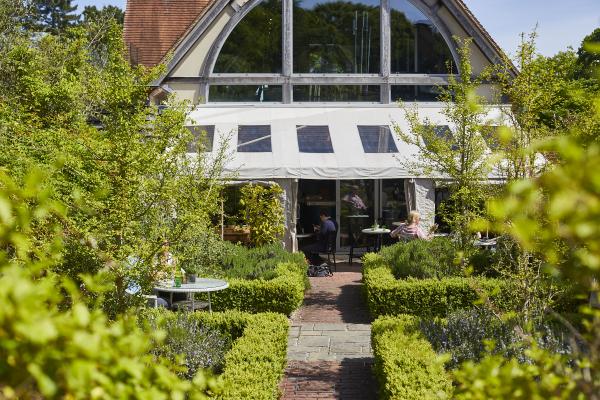 Moth and Nature Morning